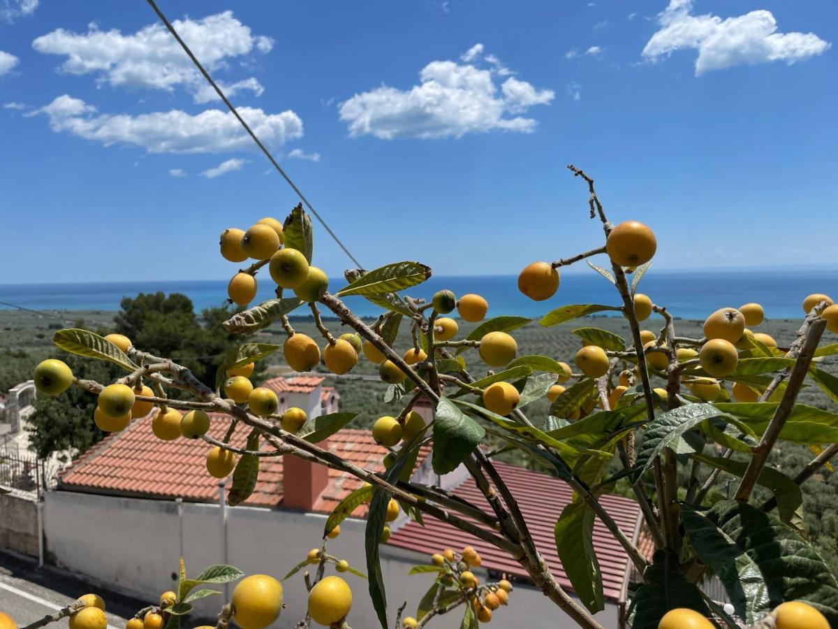 Villetta - Qui Dove Il Mare Luccica - Affitti Brevi Italia Monte SantʼAngelo Eksteriør bilde