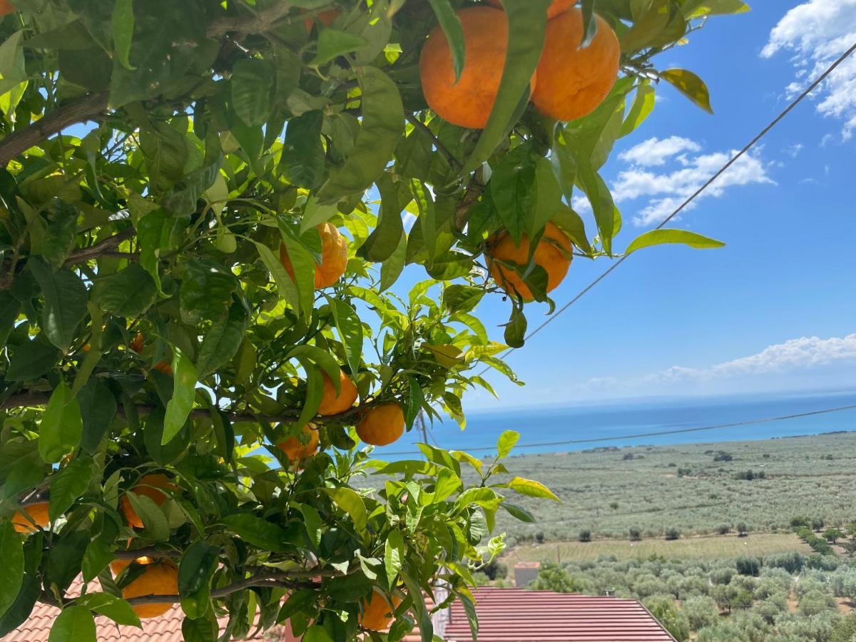 Villetta - Qui Dove Il Mare Luccica - Affitti Brevi Italia Monte SantʼAngelo Eksteriør bilde