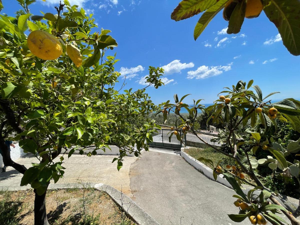 Villetta - Qui Dove Il Mare Luccica - Affitti Brevi Italia Monte SantʼAngelo Eksteriør bilde