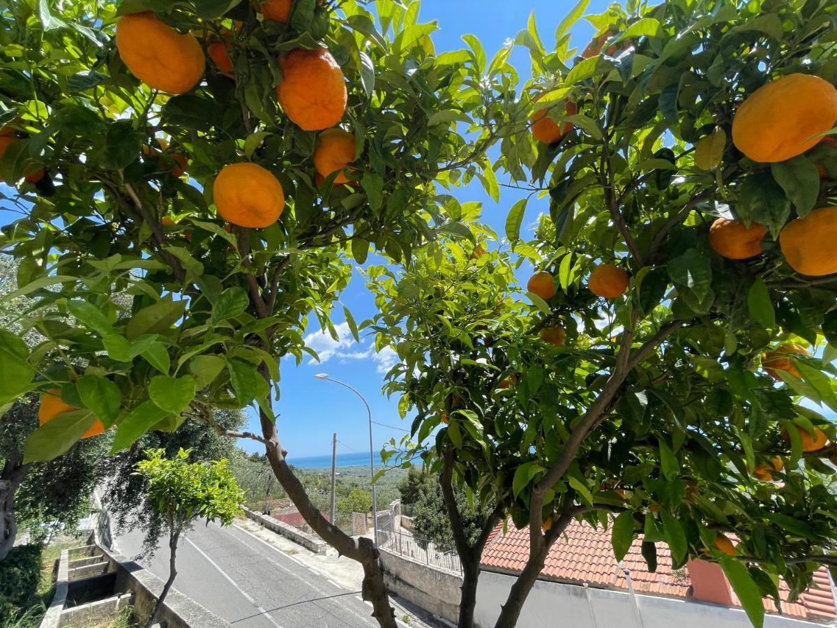 Villetta - Qui Dove Il Mare Luccica - Affitti Brevi Italia Monte SantʼAngelo Eksteriør bilde