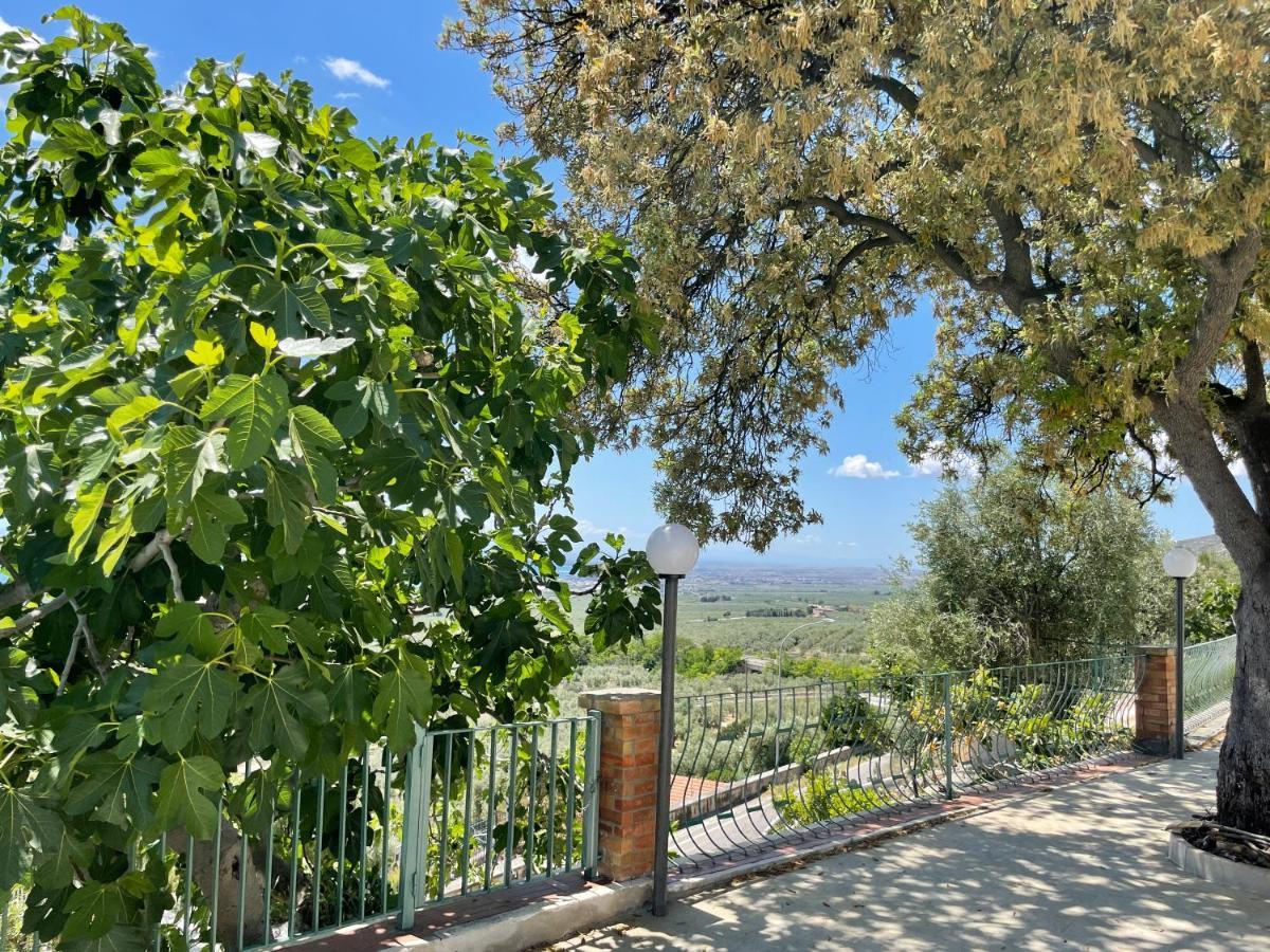 Villetta - Qui Dove Il Mare Luccica - Affitti Brevi Italia Monte SantʼAngelo Eksteriør bilde